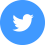 twitter-icon